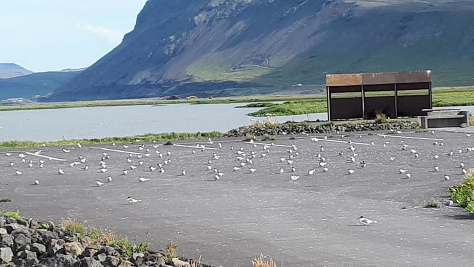 Bikers Paradise Ólafsvík Eksteriør billede